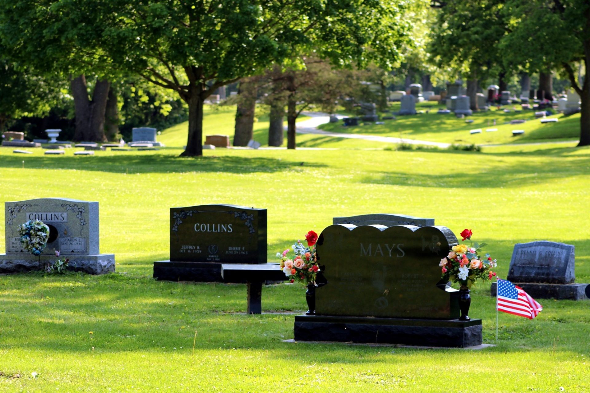Collins and Mays family monuments in morning light