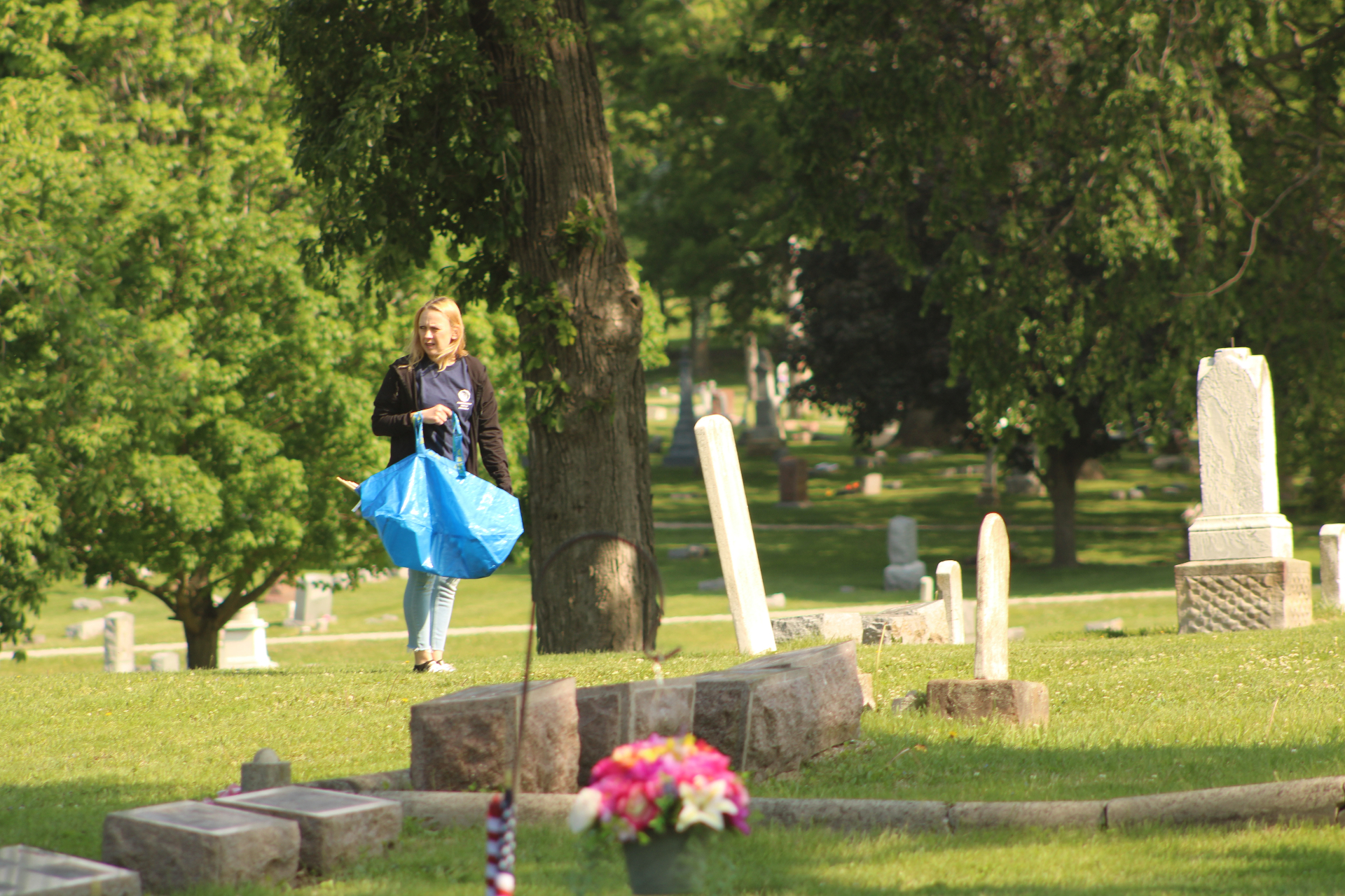 A volunteer carrying flags through the cemetery grounds in morning light