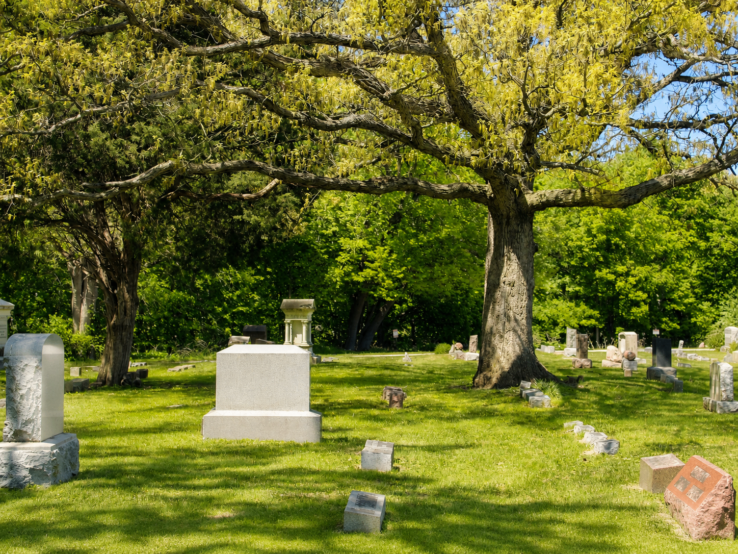 Sunlit grove with a pale monument among mature trees